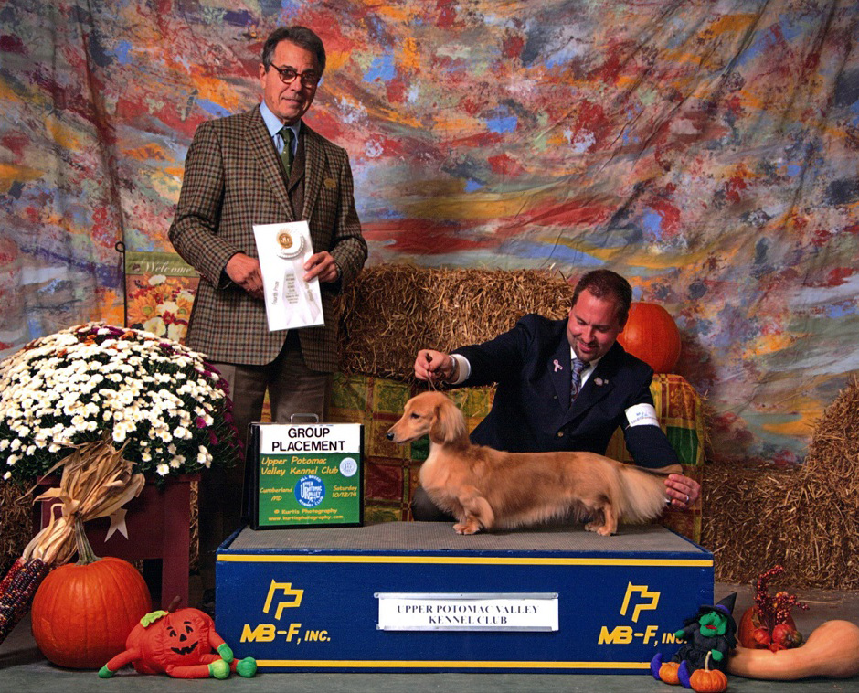 Olivia Finishes in 2013 TOP 10 National Dachshund Jr Handlers