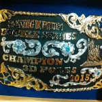 Danielle Wins Champion Place for 3D Poles at Rodeo Series