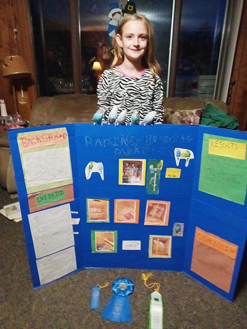 Gabrielle’s 4-H Project to the Ohio State Fair