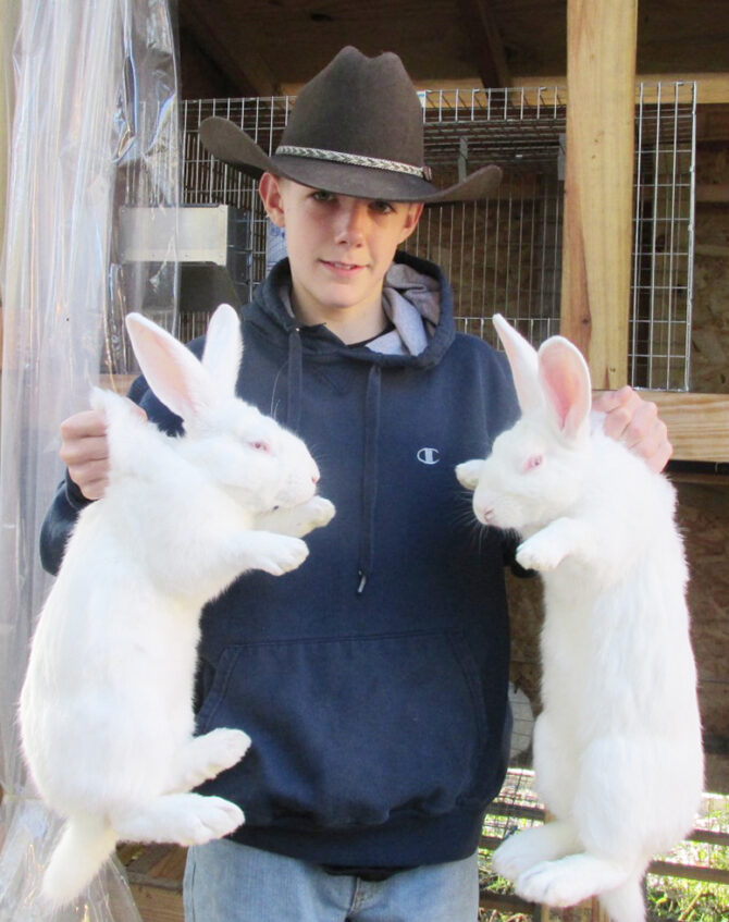 Greg Has Plans for His New Zealand White Rabbits